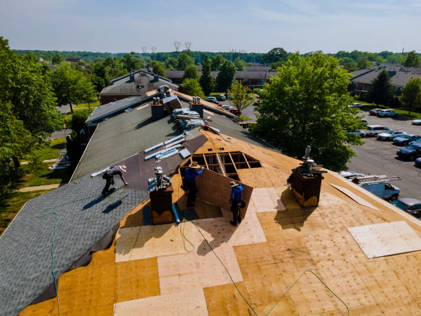 Best Residential Roof Replacement  in Grass Lake, MI