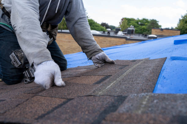 Best Roof Gutter Cleaning  in Grass Lake, MI