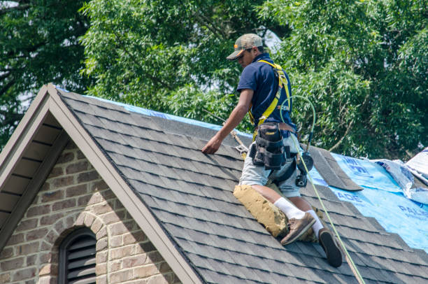 Best Roof Repair Services  in Grass Lake, MI