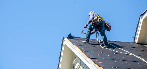 Best Commercial Roof Installation  in Grass Lake, MI