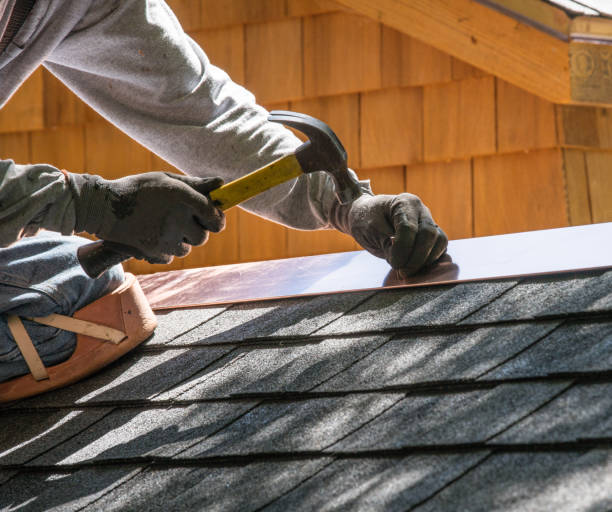 Best Roof Gutter Cleaning  in Grass Lake, MI